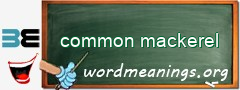WordMeaning blackboard for common mackerel